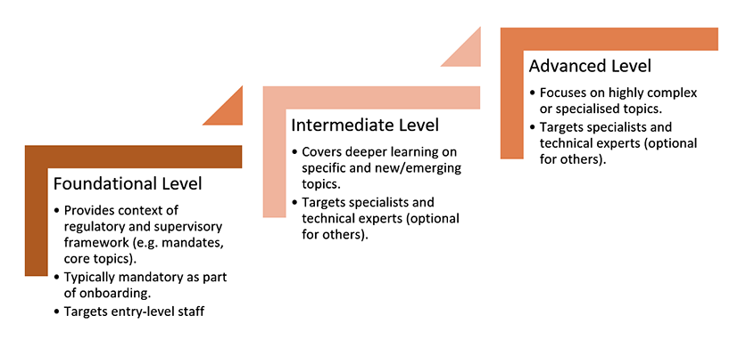 Foundational, intermediate and advanced levels of supervisory training